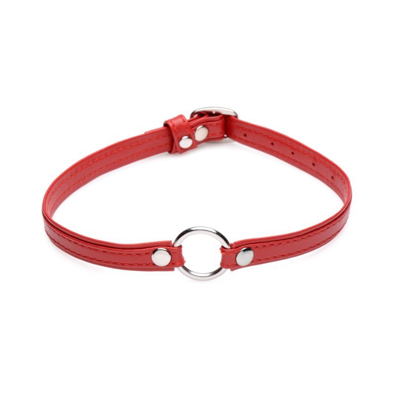 Master Series Fiery Pet Leather Choker W Silver Ring Red